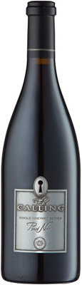 Buy The Calling Pinot Noir Single Vineyard Series Terra De Promissio Vineyard Sonoma Coast 2021 750ML Online -Craft City
