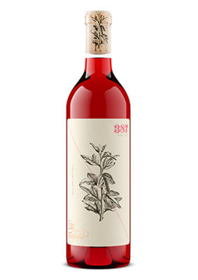 Buy The Fableist Red Wine 387 The Boy And The Nettle Central Coast 2023 750ML Online -Craft City