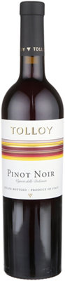 Buy Tolloy Pinot Noir Vigneti Delle Dolomiti 2021 750ML Online -Craft City