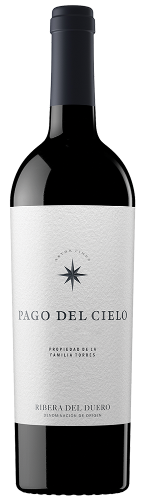 Buy Torres Vinas Viejas 19 750ML Online -Craft City