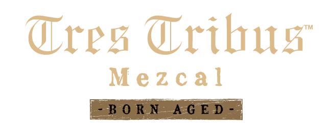 Buy Tres Tribus Mezcal Cuishe 700ML Online -Craft City