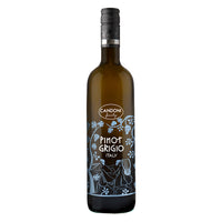 Buy Candoni Pinot Grigio Venezia Online -Craft City