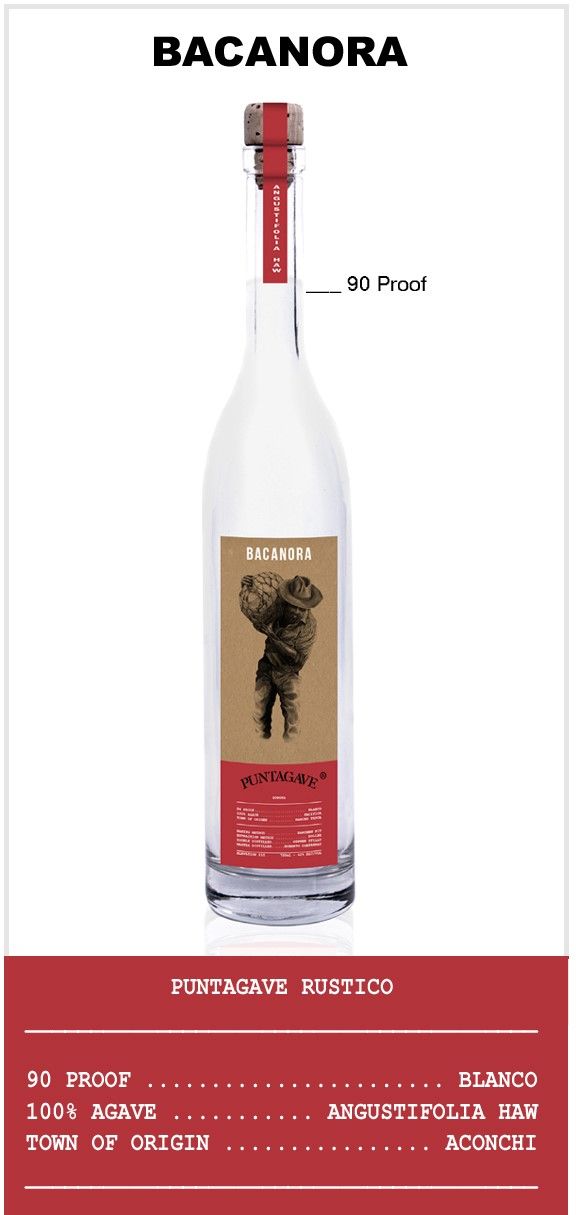 Buy Puntagave Rustico Bacanora Online -Craft City