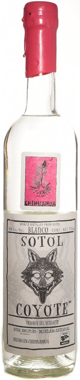 Buy Sotol Coyote Chihuahua Pink Label Online -Craft City