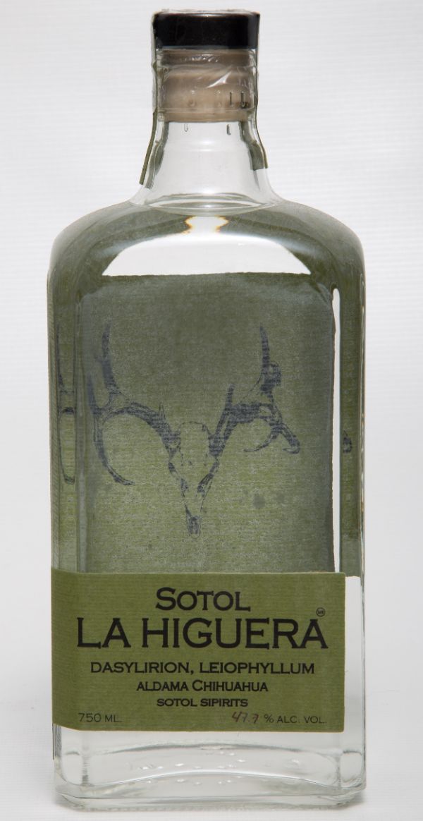 Buy Sotol La Higuera Leiophyllum Online -Craft City