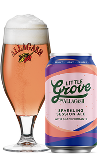 Buy Allagash Little Grove Sparkling Session Ale with Blackcurrant Online -Craft City