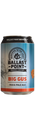 Buy Ballast Point BIG GUS Online -Craft City