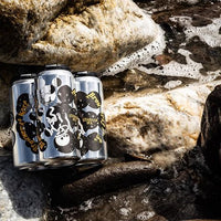 Brouwerij West Starfish IPA 4 pack cans