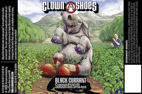 Clown Shoes Black Currant Saison 22oz