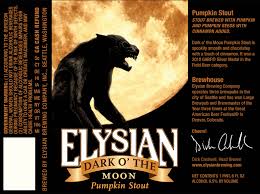 Elysian Dark O’ The Moon Pumpkin Stout 22oz - Elysian