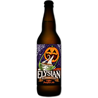 Elysian Punkuccino Coffee Pumpkin Ale 22oz