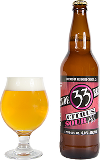 Latitude 33 Citrus Sour Ale 22oz