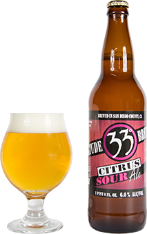 Latitude 33 Citrus Sour Ale 22oz