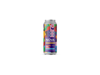 Nova Kombucha A‚àö√°A‚àö√ß BERRY &amp; GUARAN‚àö√Ö - Nova Kombucha
