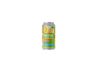 Buy Nova Kombucha Sexy Pina Colada Online -Craft City