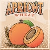 Wiens Apricot Wheat 22oz